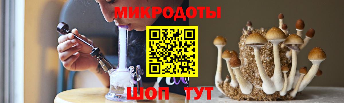Фурманов  Псилоцибиновые грибы Psilocybine cubensis  Галлюциногенные грибы Magic Shrooms  Вход с VPN 